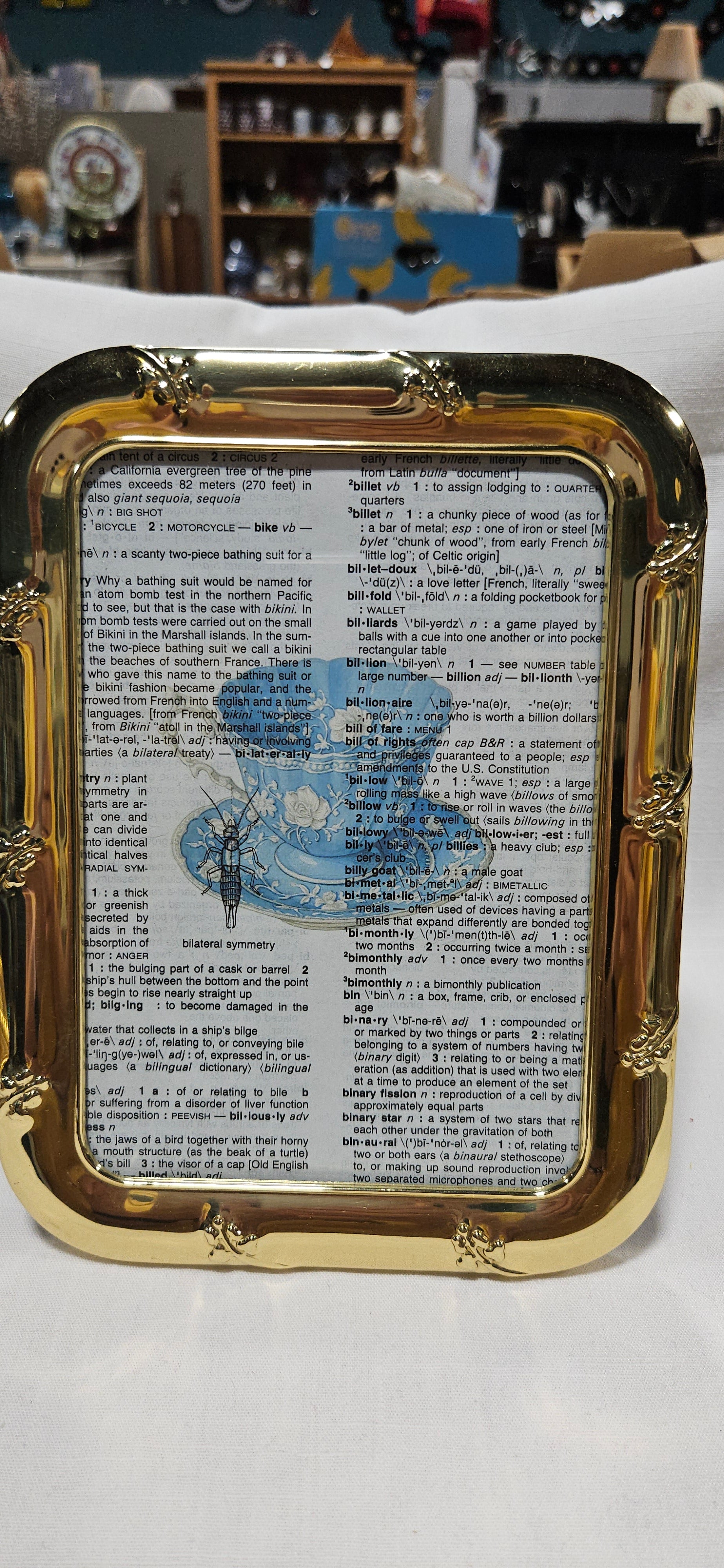 洋書　IN AUGUST COMPANY Gold Metal Frame · 6×8 Teacup Book Page Art – Bliss Marketplace