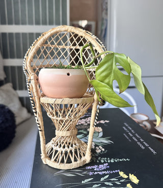 Mini Wicker Chair Plant Stand (LZD - RSV)|86205