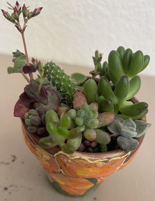 Handpainted Poppies 2in Terra Cotta MTS|70912