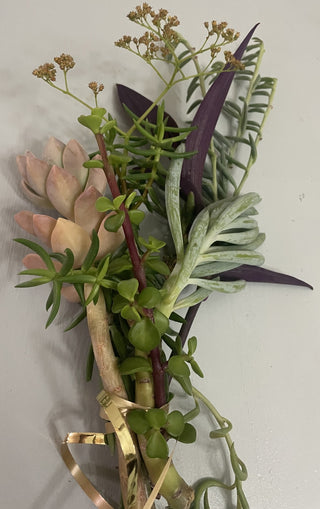 Fresh Succulent Cuttings 6-16-25 Bouquet MTS|86716