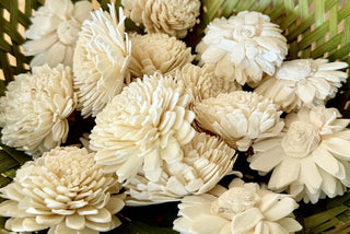 Dried Zinnia Bunch (16ct) (LZD - RSV)|108286