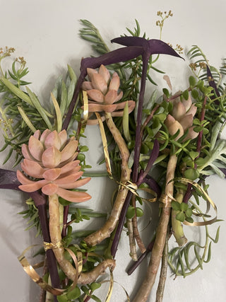 Fresh Succulent Cuttings 6-16-25 Bouquet MTS|86717