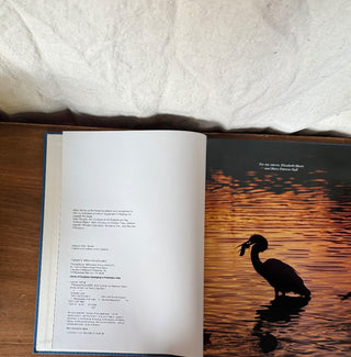 (Vintage) 1988 Photographing Wildlife hardback (LZD-RSV)|116021