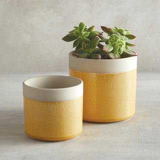 YELLOW POT - SMALL.  RSV|64727