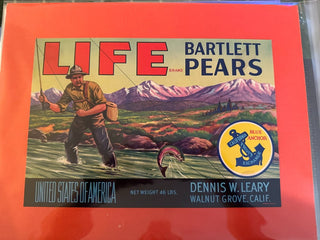 Life Bartlett Pears Authentic Farm Crate Label FRAMED EC122 MTS|100444