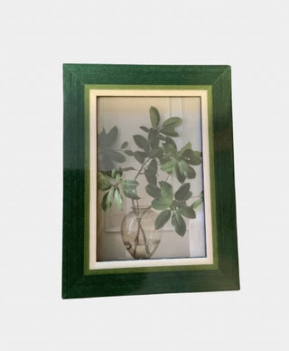 MG Italian Natalini frame greens|90429