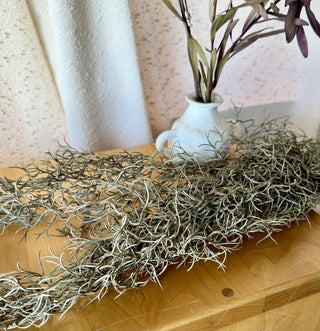 Grey Moss Decor (LZD - RSV)|108318