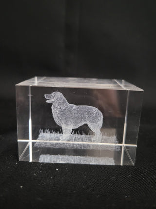 3-D Laser Etched Australian Shepherd Paperweight RCD|96379