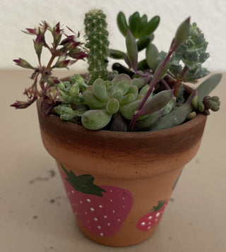 Handpainted Berry 2in Terra Cotta MTS|70915