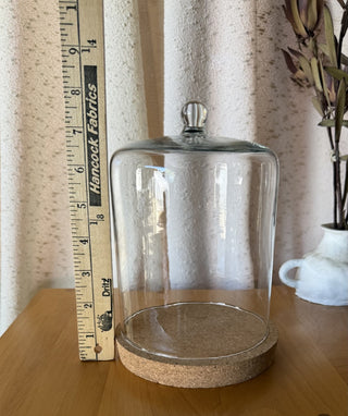 Glass Cloche with Coaster Set (LZD - RSV)|108308