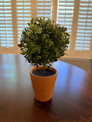 9” Faux Topiary RSV|79797