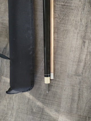 Professional pool stick|65955