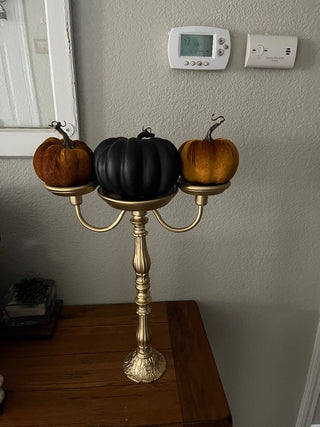 Black Pumpkin|116980