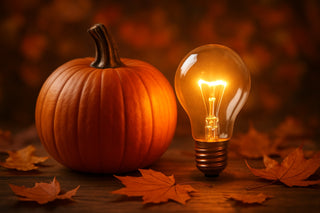 10 Fall Pumpkin Ideas to Inspire Your Autumn 2026 Decor