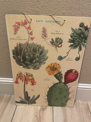 19"x27" Cacti + Succulents Botanical Illustration on Pressed Board|94132