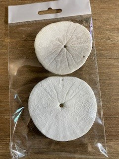 Natural Sand Dollars RCD
