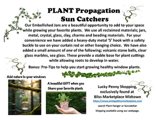 Plant Hanging Jar Suncatcher PSP01|106085