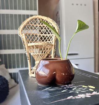 Tush Vase with Plant by UO (LZD - RSV)|86211