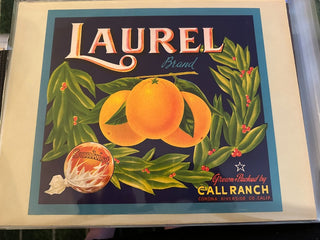 Laurel Authentic Citrus Farm Crate Label EC048 MTS|100305