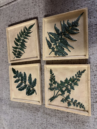 Set of 4 Fern Bottanical Coasters RCD