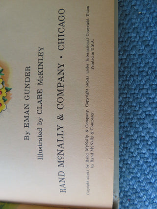 Chester the little pony - child's book RCD