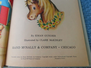 Chester the little pony - child's book RCD