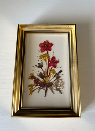 Vintage small dried pressed flower frame RSV|101219