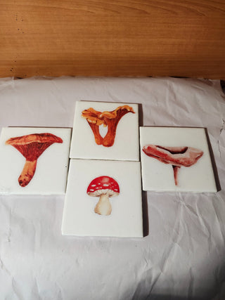 Mushroom coasters are c d