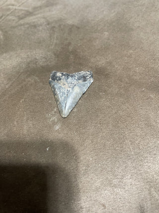 2.1 Venus, megalodon, camo pink burette rsv