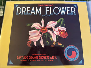 Dream Flower Authentic Citrus Farm Crate Label EC018-20 MTS|100249