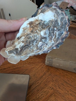 Ring Dish Oyster Shell Handmade Decoupaged Floral with Gold Stand