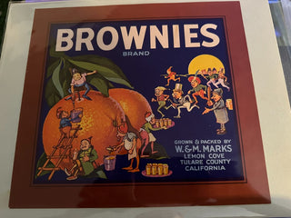 Brownies Authentic Citrus Farm Crate Label EC009 MTS|100181