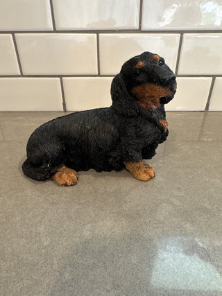 AJ - Castagna Dacshund MTS|61769