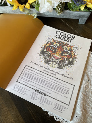 Color Quest -RDC|78085