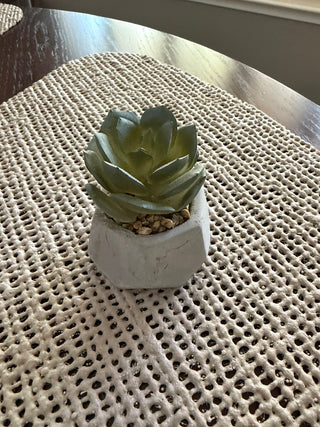 Mini Cactus in Cement Holder RSV|72321