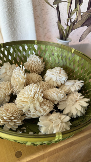 Dried Zinnia Bunch (16ct) (LZD - RSV)