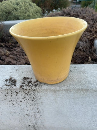 yellow ceramic pot