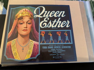 Queen Esther Authentic Citrus Farm Crate Label EC079 MTS