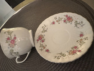 Vintage Teacup/ Saucer China Soft Green MTS