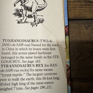 Vtg Dinosaurs of the Land, Sea and Air Book MTS|120067