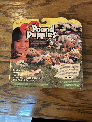 Pound Puppies, Mini Plush Figures, Set of 3   MTS|99658