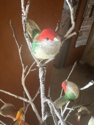 Holiday Home Birch Tree #62 VV MTS|125514