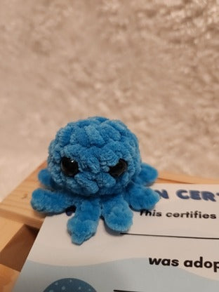 Aquatic Worry-free Pet: Octopus- turquoise, round aquarium, gems, adoption certificate