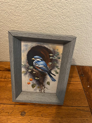Blue Bird Picture RCD
