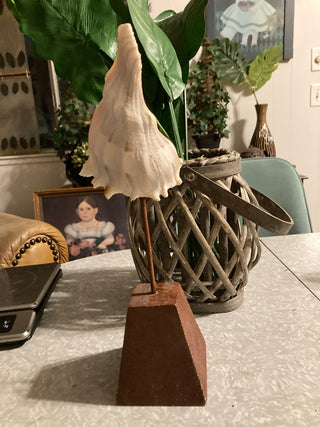 Conch Shell (5”) on Wood Stand (8.5”) RSV|78920