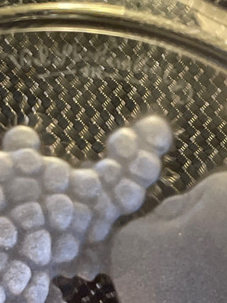 Vintage VAL ST LAMBERT VSL Crystal style Cut Candy Compote dish glass..|111860