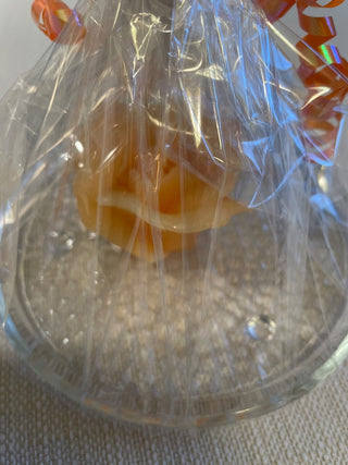 Rose candle  glass plate  cellophane RSV|112797