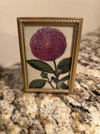 Small Frame   MTS|118032