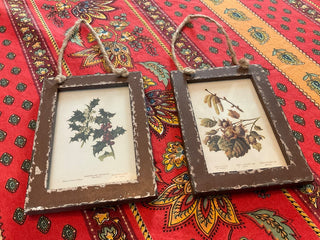 Botanical framed print 4 x 5 1/2 MTS|120846