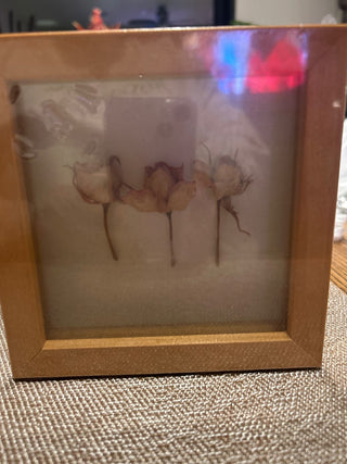 Small frames roses|136085